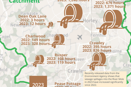 River Mole sewage map